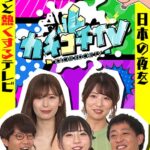 カチコチTV＃36