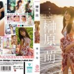 裸天使 榊原萌